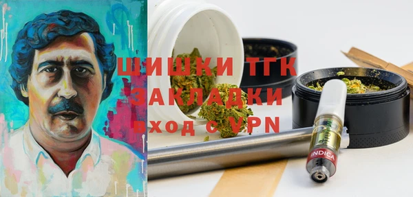 шишки Абинск